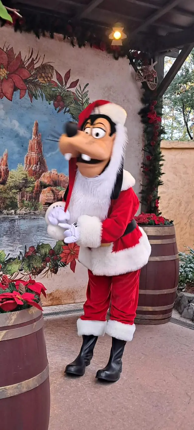 Čakovečke mažoretkinje (14) Čakovečke mažoretkinje (14)