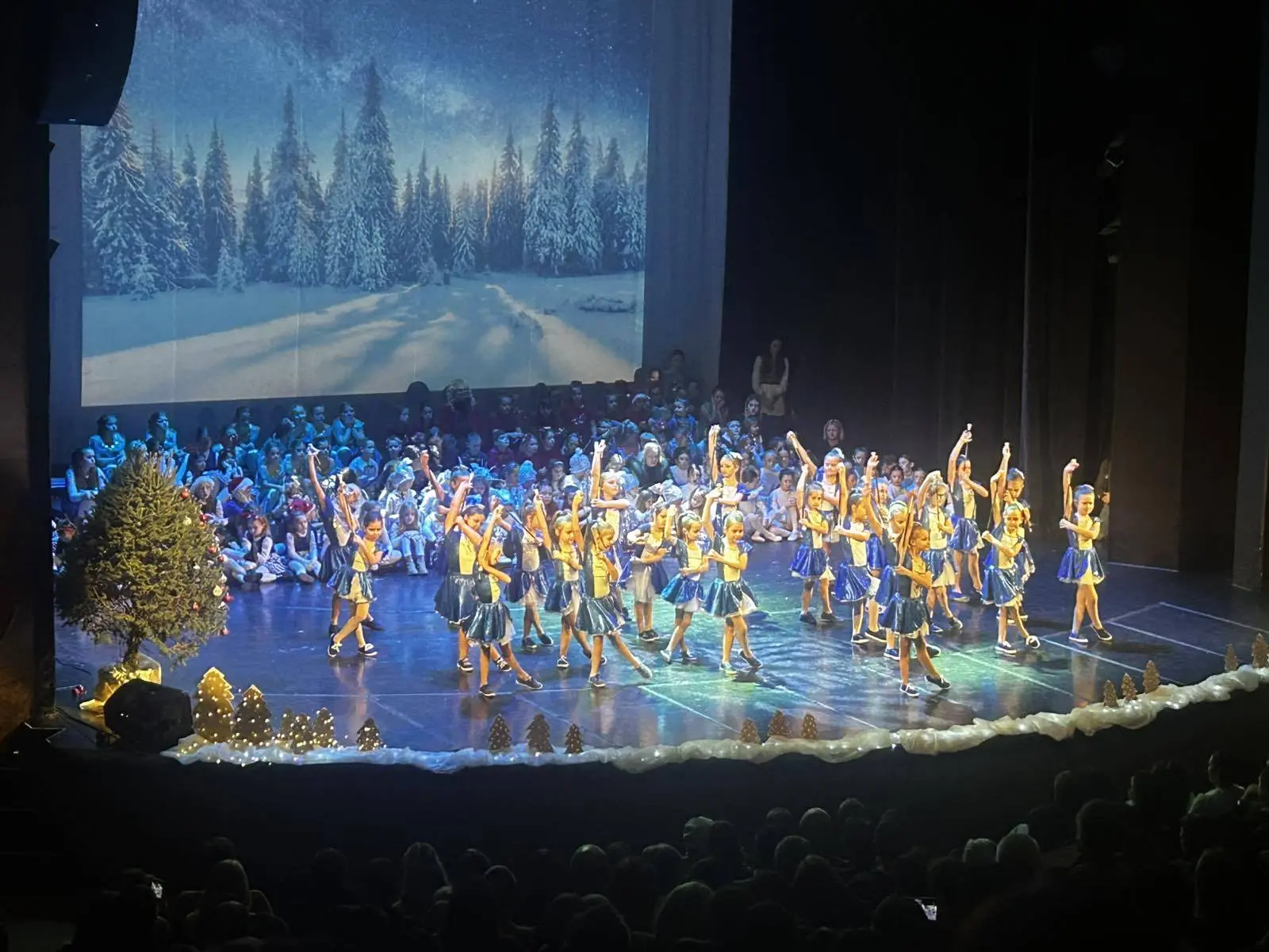 Čakovečke mažoretkinje studeni koncert (3) Čakovečke mažoretkinje studeni koncert (3)