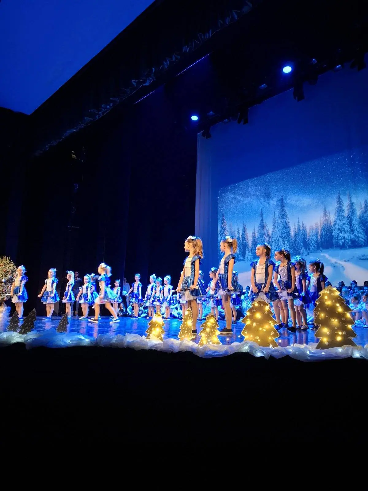 Čakovečke mažoretkinje studeni koncert (8) Čakovečke mažoretkinje studeni koncert (8)