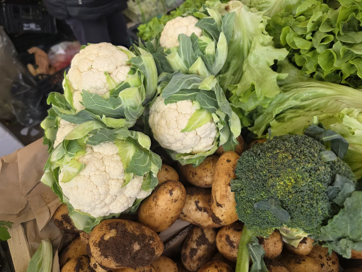 Čakovečki plac 11-4-2026 (108) Čakovečki plac 11-4-2026 (108)