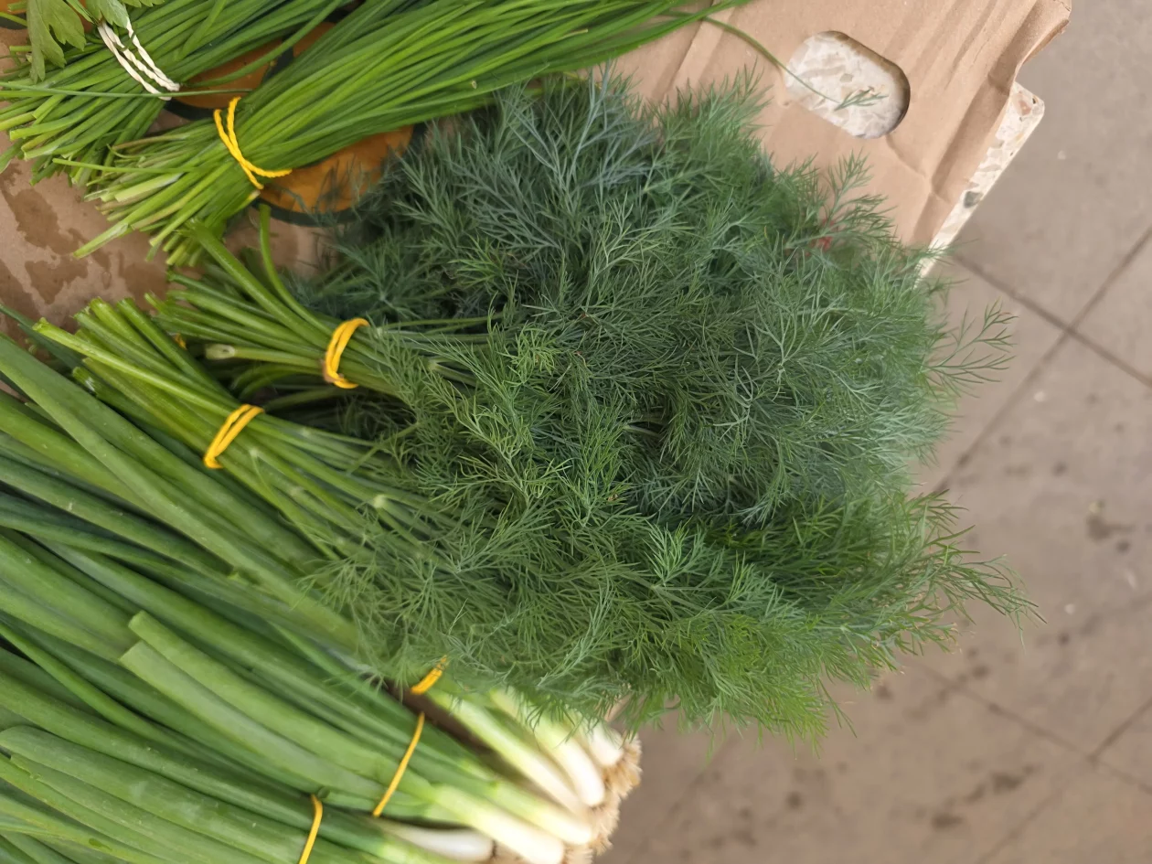 Čakovečki plac 11-4-2026 (111) Čakovečki plac 11-4-2026 (111)