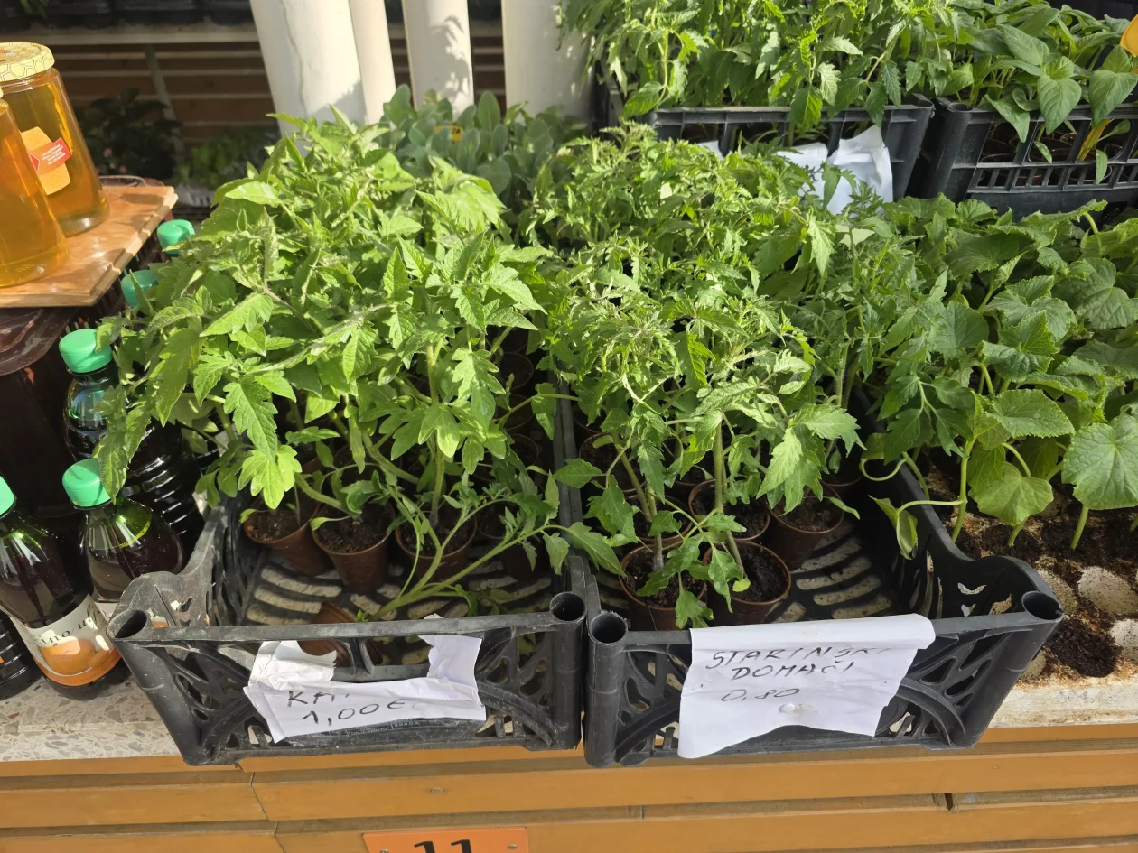 Čakovečki plac 11-4-2026 (13) Čakovečki plac 11-4-2026 (13)