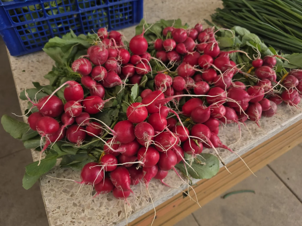 Čakovečki plac 11-4-2026 (2) Čakovečki plac 11-4-2026 (2)