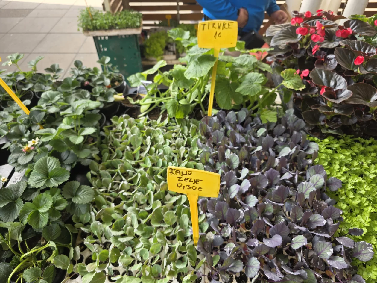 Čakovečki plac 11-4-2026 (20) Čakovečki plac 11-4-2026 (20)