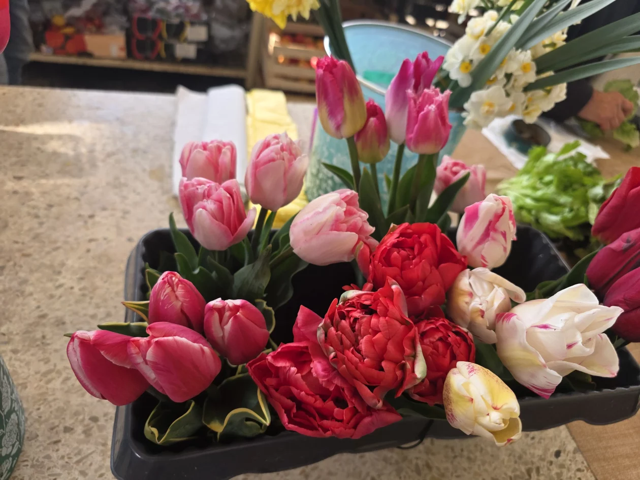 Čakovečki plac 11-4-2026 (23) Čakovečki plac 11-4-2026 (23)