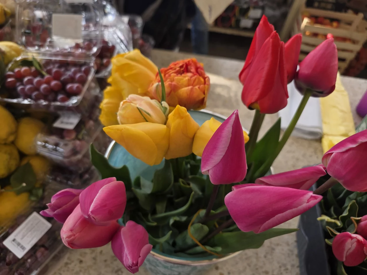 Čakovečki plac 11-4-2026 (24) Čakovečki plac 11-4-2026 (24)