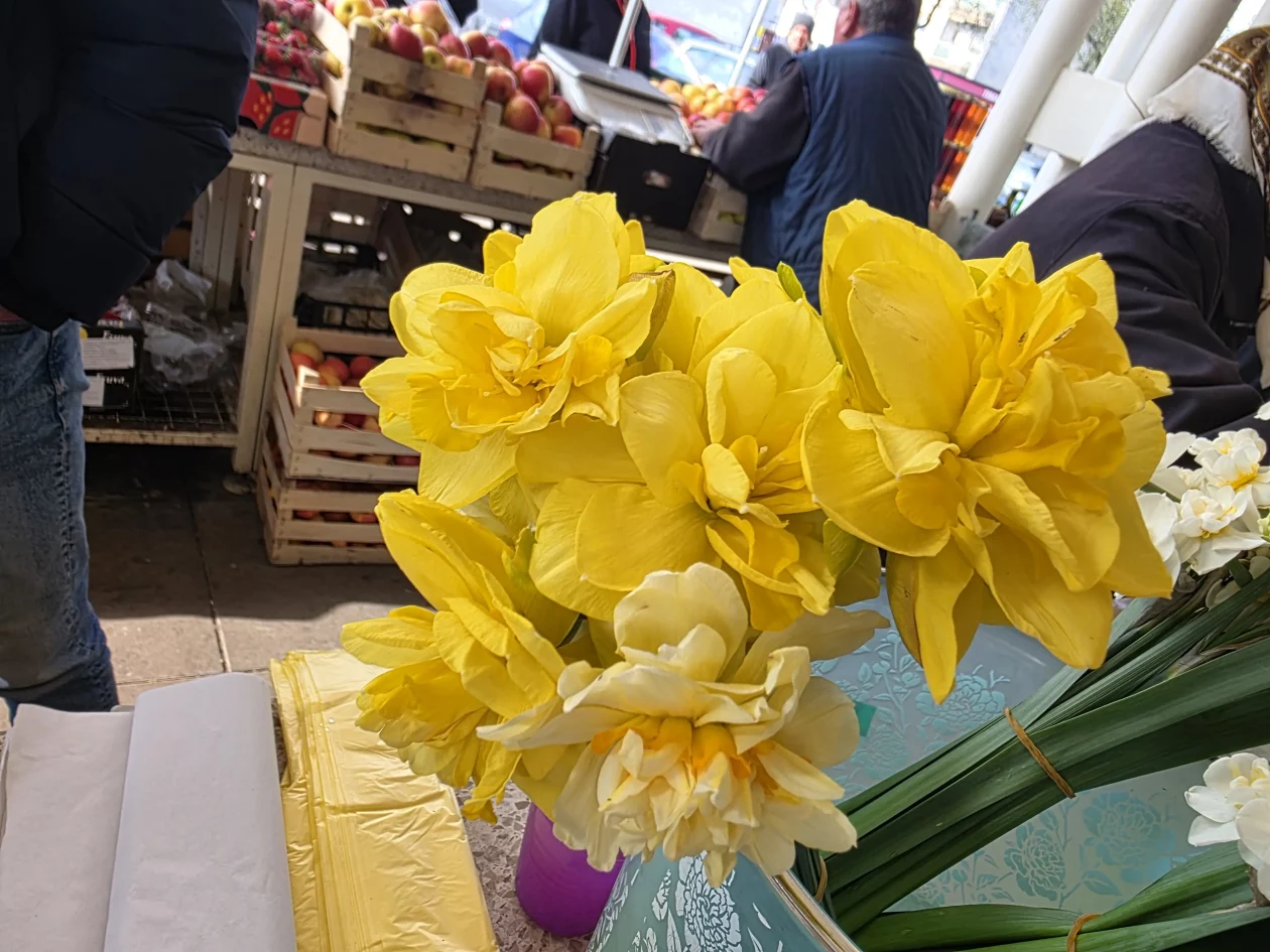 Čakovečki plac 11-4-2026 (25) Čakovečki plac 11-4-2026 (25)