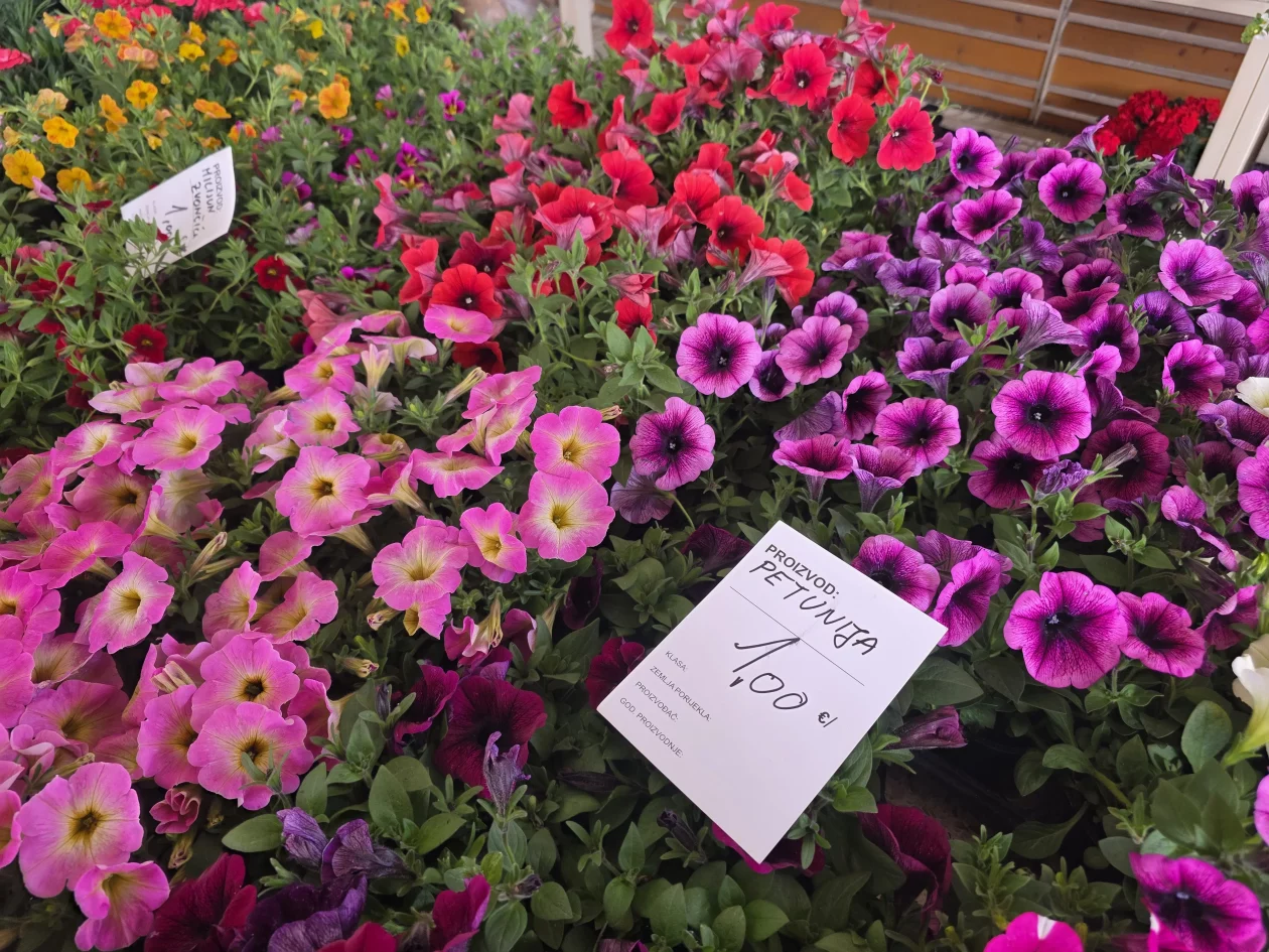 Čakovečki plac 11-4-2026 (37) Čakovečki plac 11-4-2026 (37)