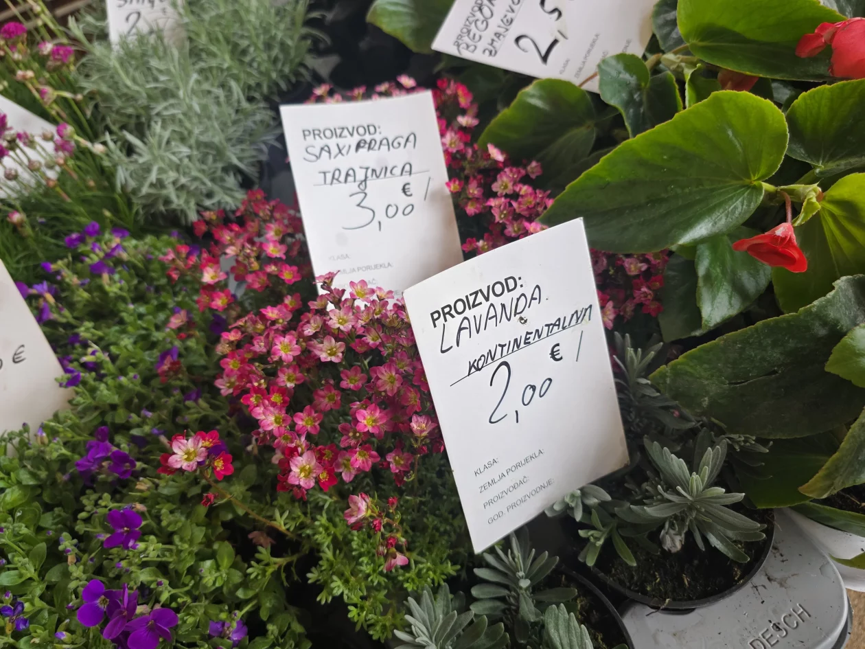 Čakovečki plac 11-4-2026 (38) Čakovečki plac 11-4-2026 (38)