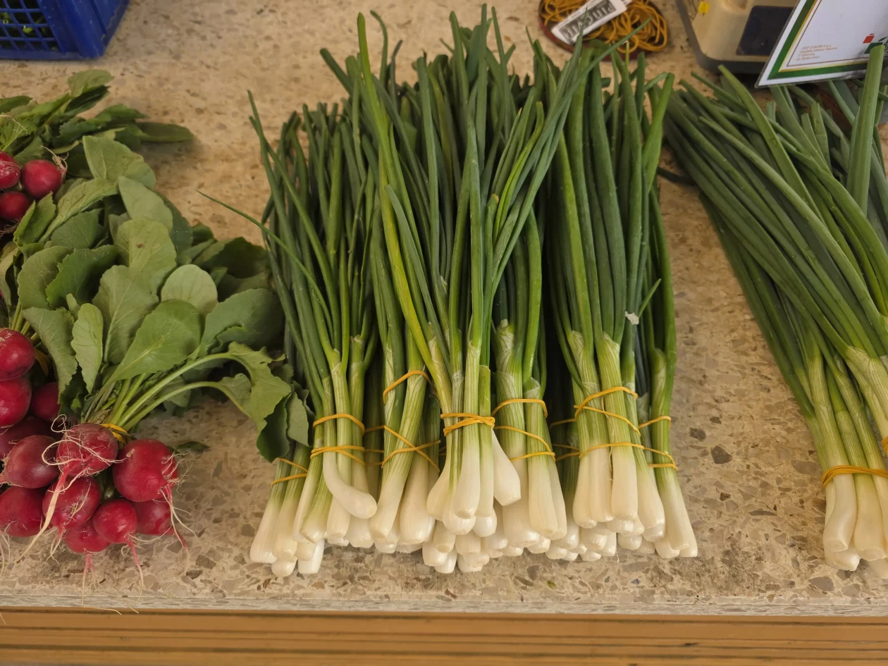 Čakovečki plac 11-4-2026 (4) Čakovečki plac 11-4-2026 (4)