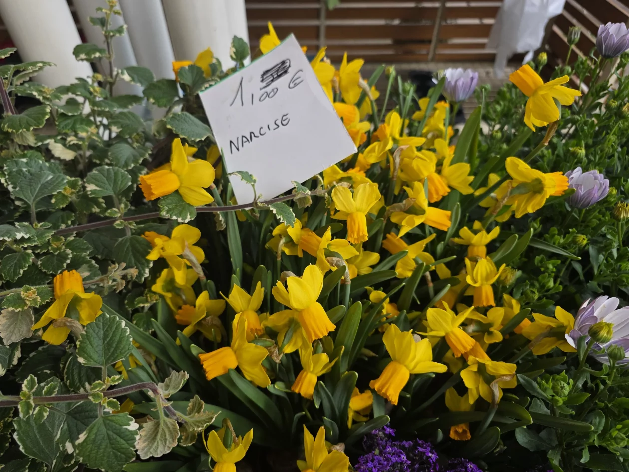 Čakovečki plac 11-4-2026 (40) Čakovečki plac 11-4-2026 (40)