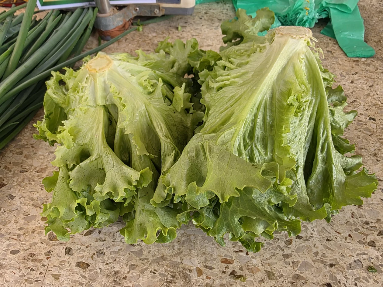 Čakovečki plac 11-4-2026 (5) Čakovečki plac 11-4-2026 (5)