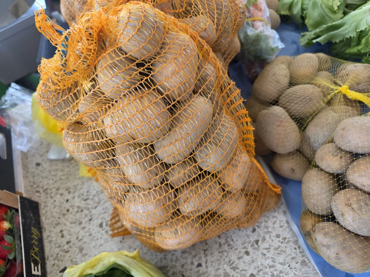 Čakovečki plac 11-4-2026 (51) Čakovečki plac 11-4-2026 (51)