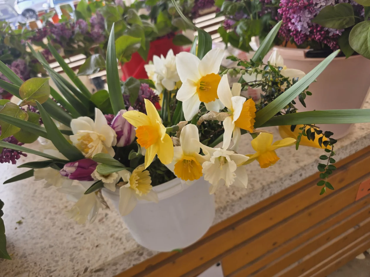 Čakovečki plac 11-4-2026 (52) Čakovečki plac 11-4-2026 (52)