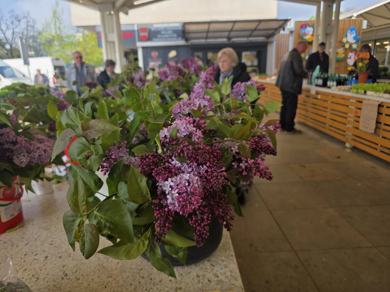 Čakovečki plac 11-4-2026 (53) Čakovečki plac 11-4-2026 (53)