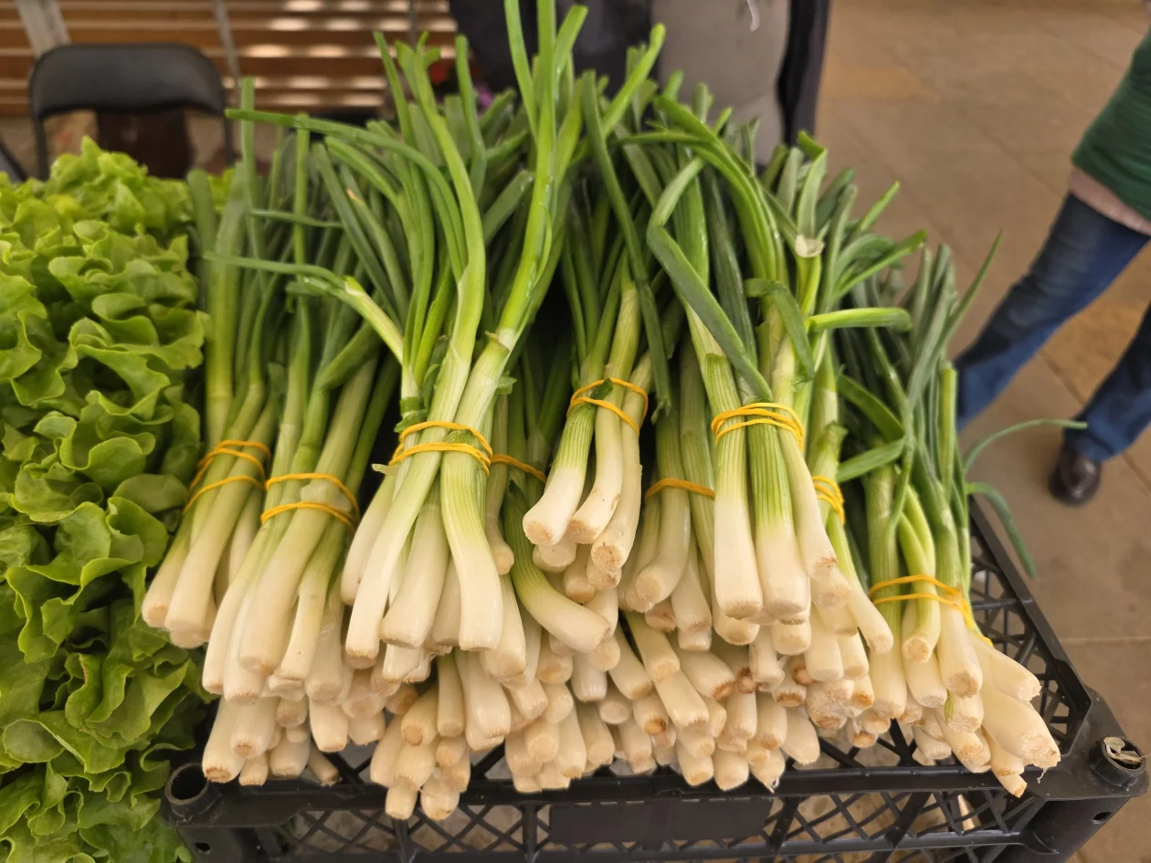 Čakovečki plac 11-4-2026 (55) Čakovečki plac 11-4-2026 (55)