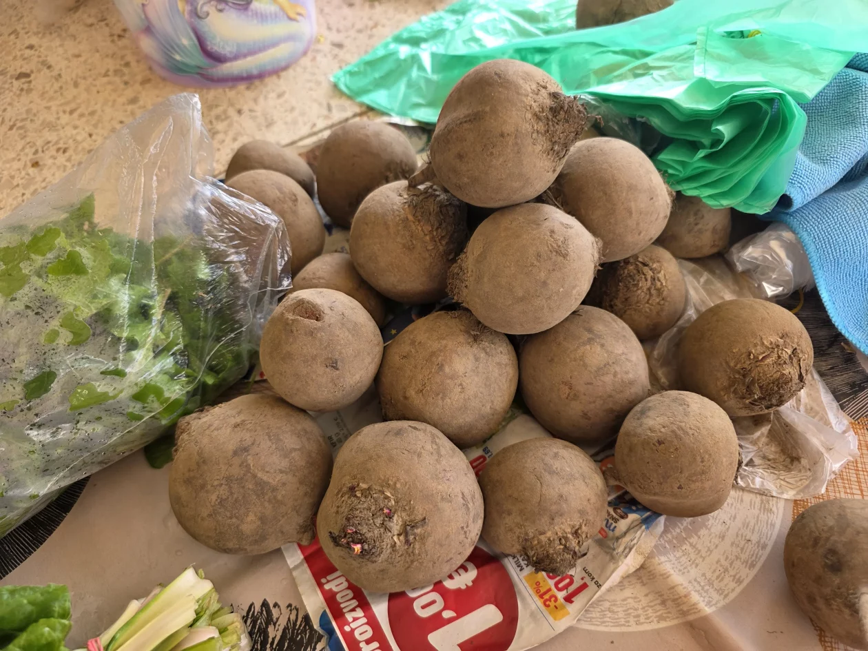 Čakovečki plac 11-4-2026 (58) Čakovečki plac 11-4-2026 (58)