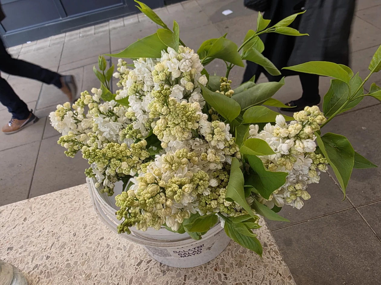 Čakovečki plac 11-4-2026 (64) Čakovečki plac 11-4-2026 (64)