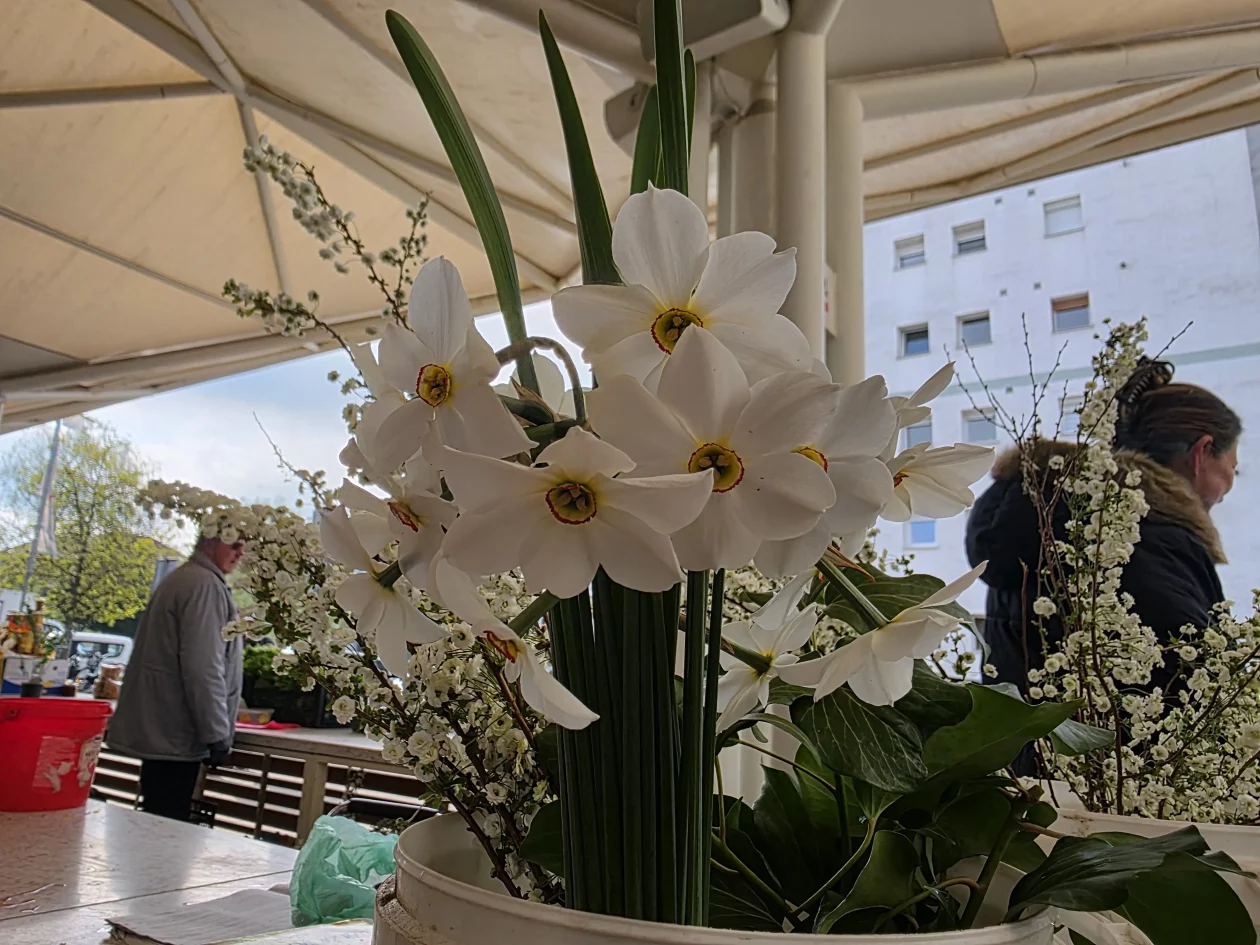 Čakovečki plac 11-4-2026 (66) Čakovečki plac 11-4-2026 (66)