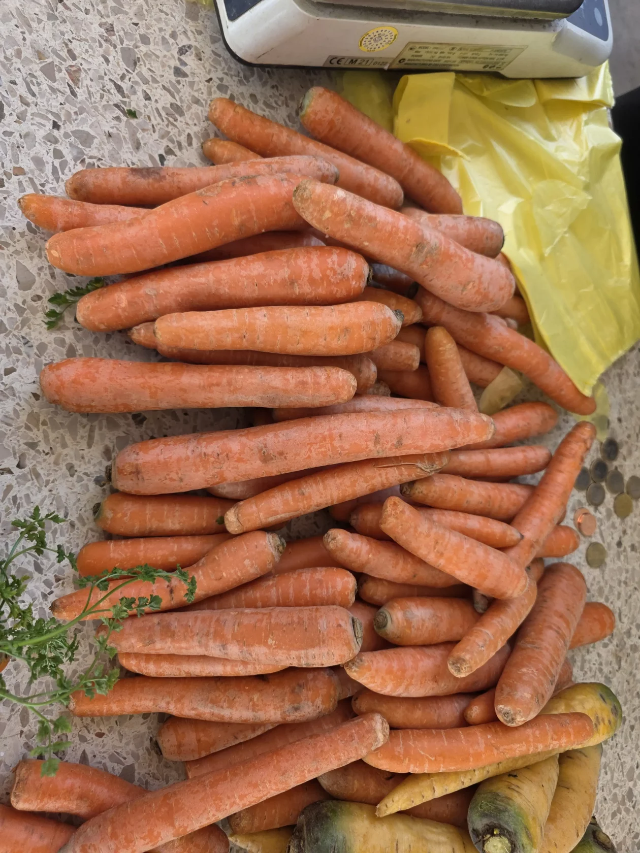 Čakovečki plac 11-4-2026 (67) Čakovečki plac 11-4-2026 (67)