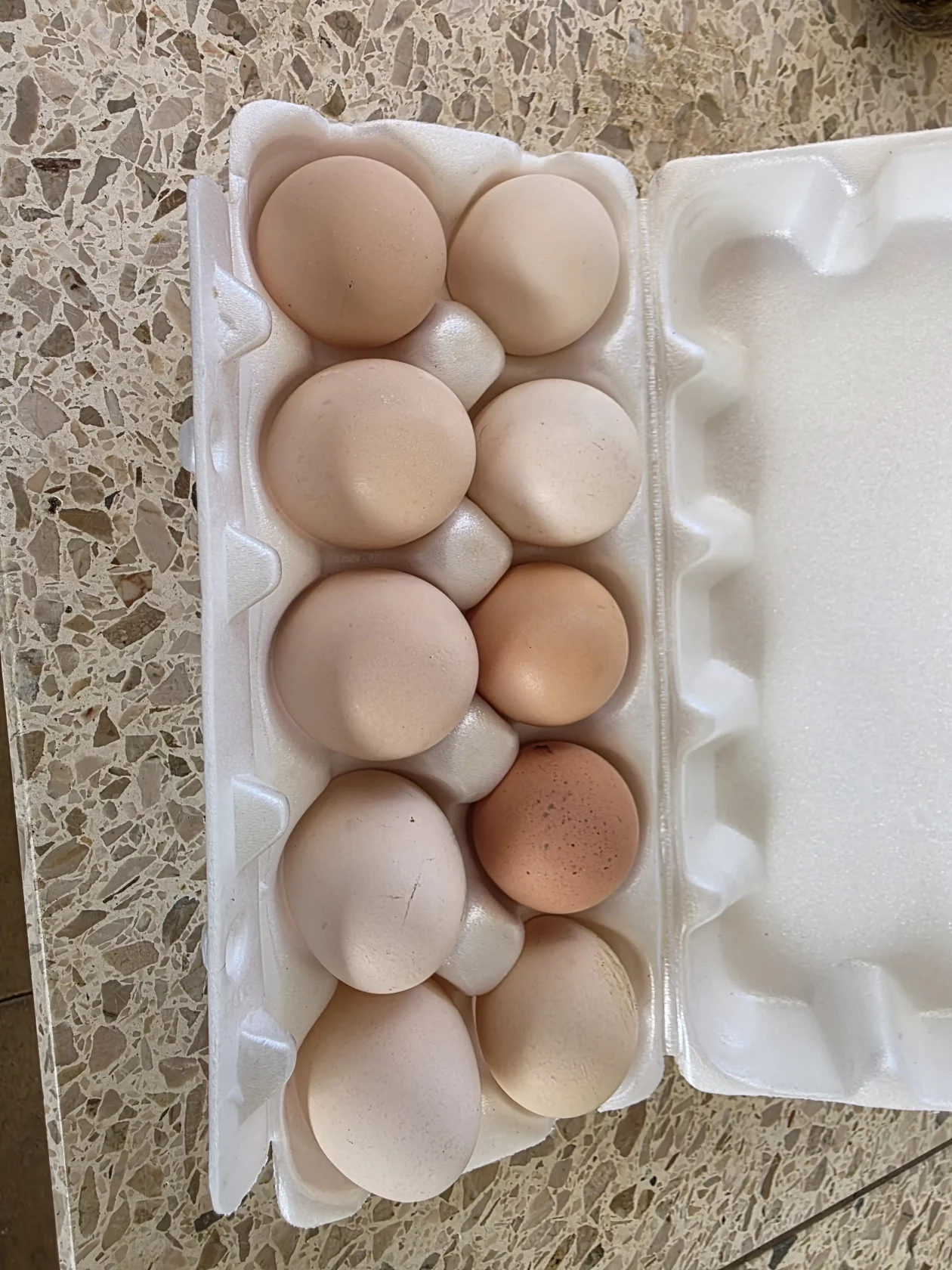 Čakovečki plac 11-4-2026 (68) Čakovečki plac 11-4-2026 (68)