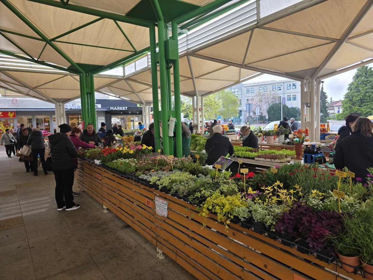 Čakovečki plac 11-4-2026 (69) Čakovečki plac 11-4-2026 (69)