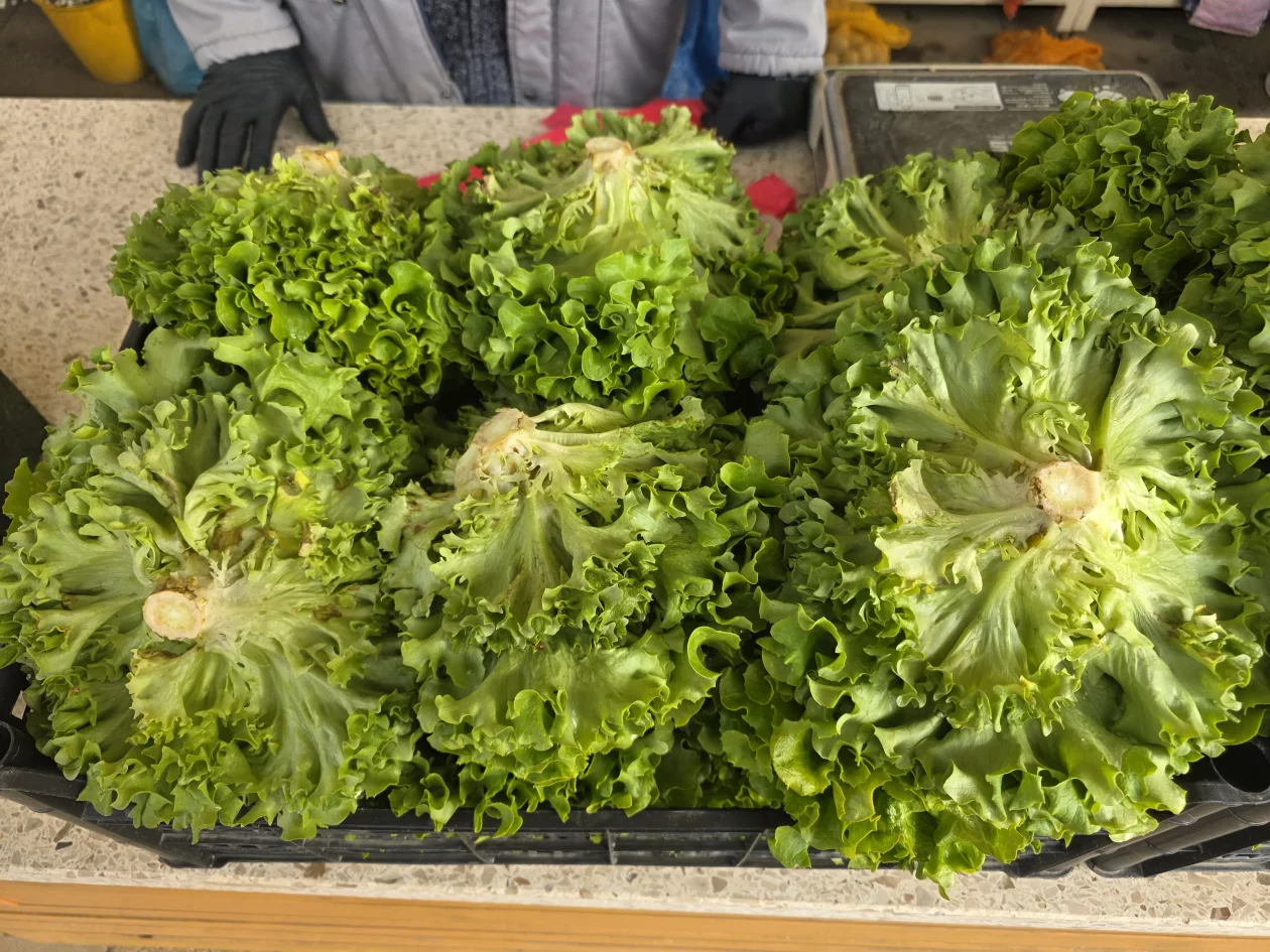 Čakovečki plac 11-4-2026 (7) Čakovečki plac 11-4-2026 (7)