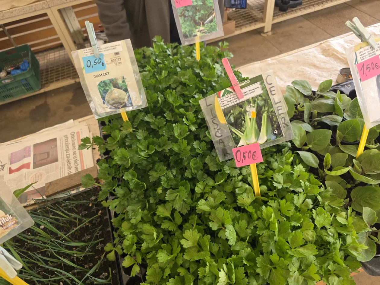 Čakovečki plac 11-4-2026 (78) Čakovečki plac 11-4-2026 (78)