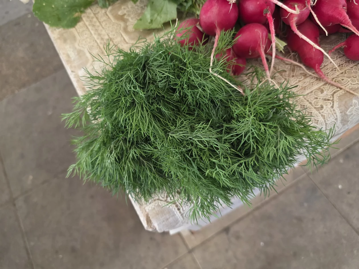 Čakovečki plac 11-4-2026 (82) Čakovečki plac 11-4-2026 (82)