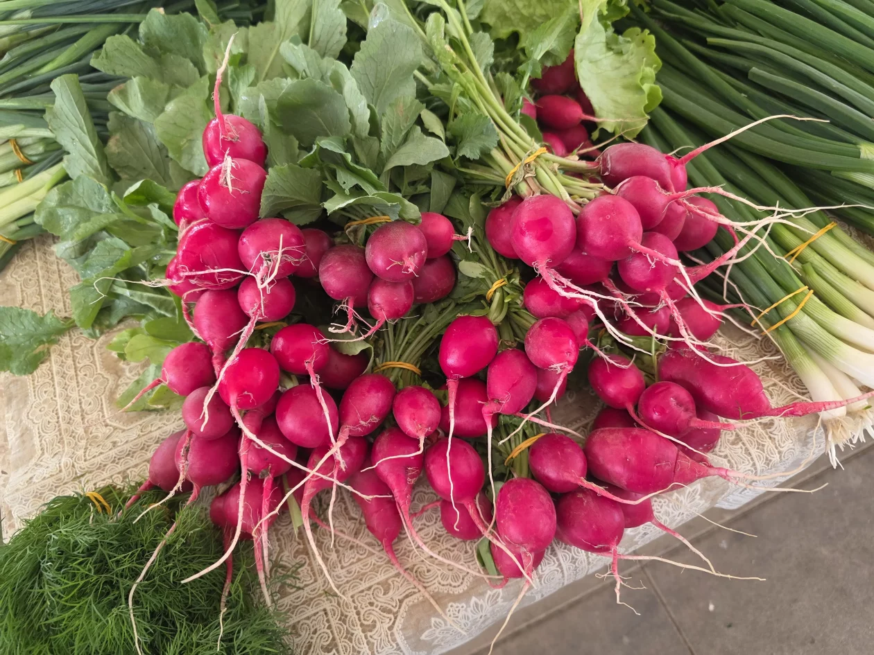 Čakovečki plac 11-4-2026 (83) Čakovečki plac 11-4-2026 (83)