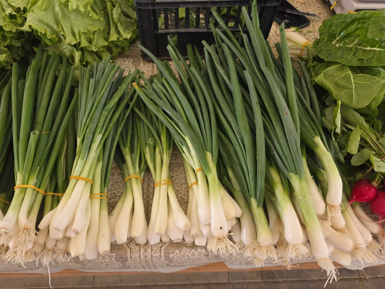 Čakovečki plac 11-4-2026 (84) Čakovečki plac 11-4-2026 (84)