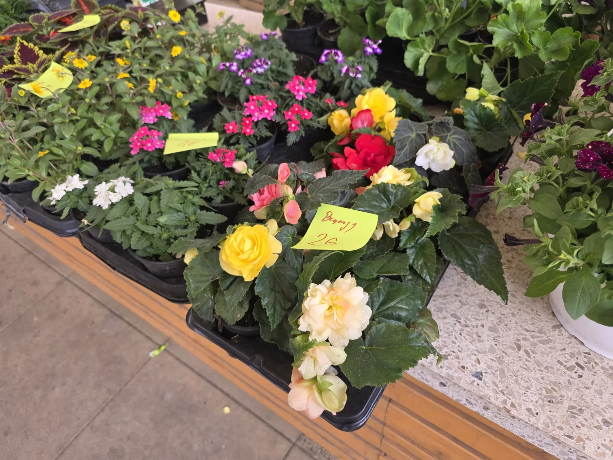 Čakovečki plac 11-4-2026 (87) Čakovečki plac 11-4-2026 (87)