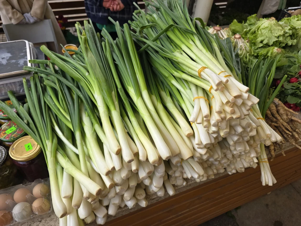 Čakovečki plac 11-4-2026 (88) Čakovečki plac 11-4-2026 (88)