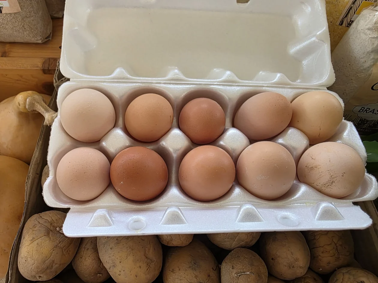 Čakovečki plac 11-4-2026 (93) Čakovečki plac 11-4-2026 (93)