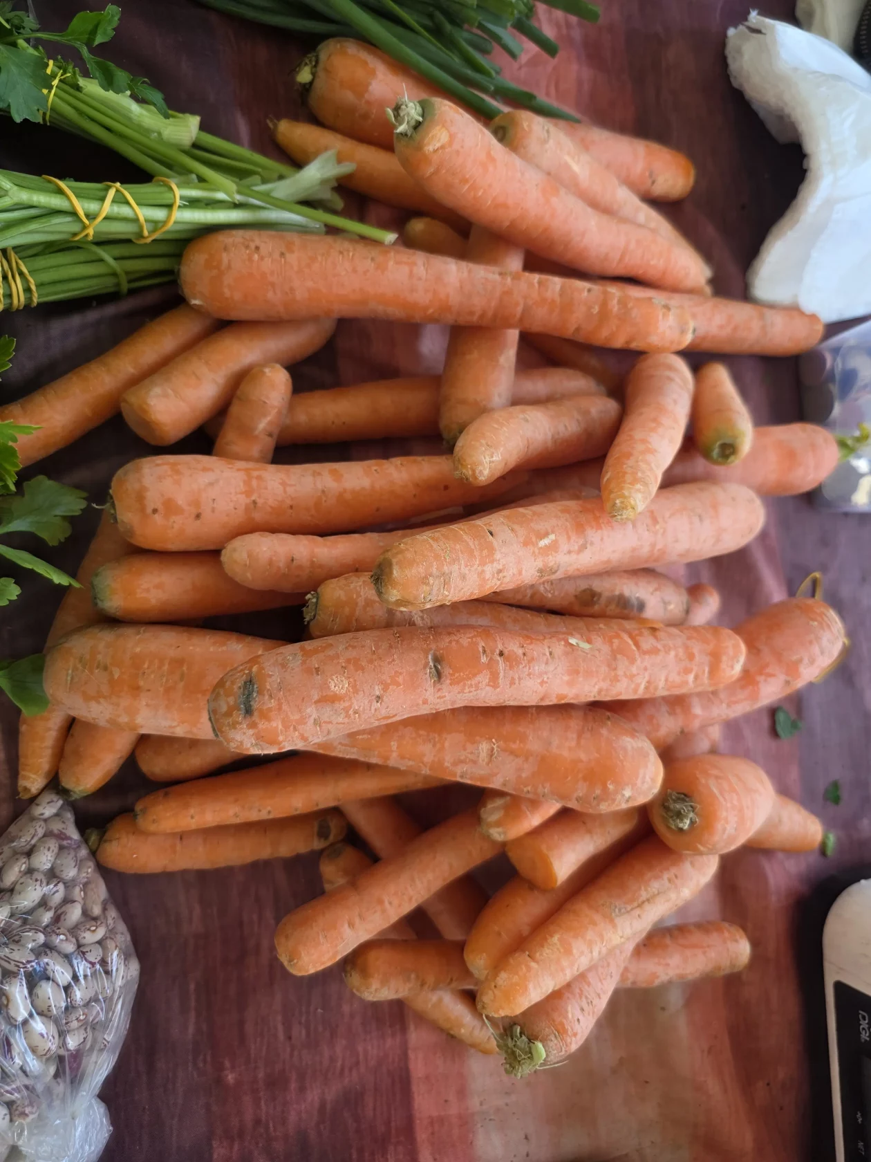 Čakovečki plac 11-4-2026 (94) Čakovečki plac 11-4-2026 (94)