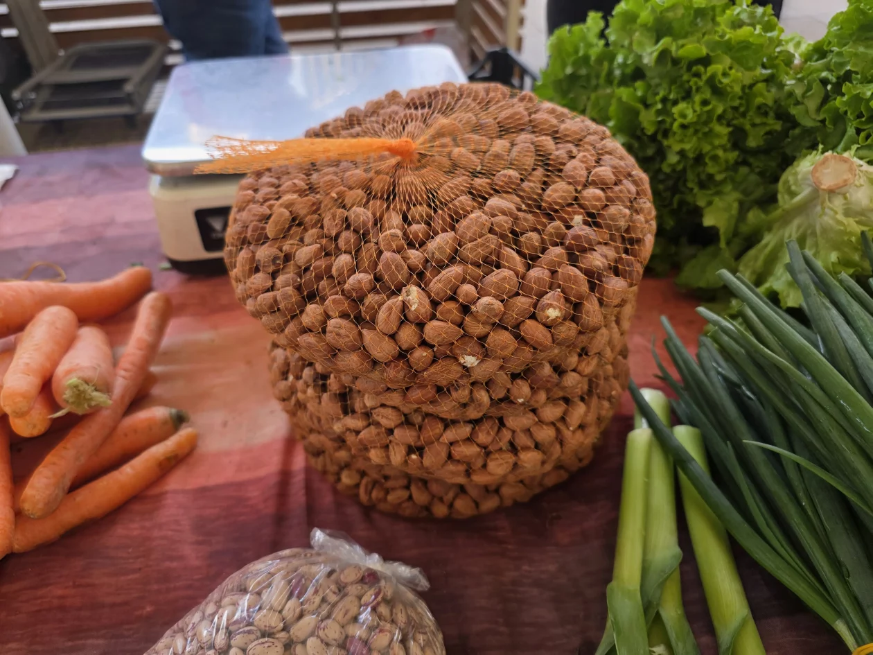 Čakovečki plac 11-4-2026 (95) Čakovečki plac 11-4-2026 (95)