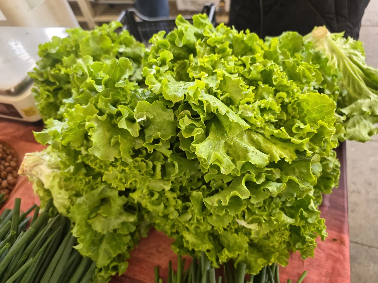 Čakovečki plac 11-4-2026 (96) Čakovečki plac 11-4-2026 (96)