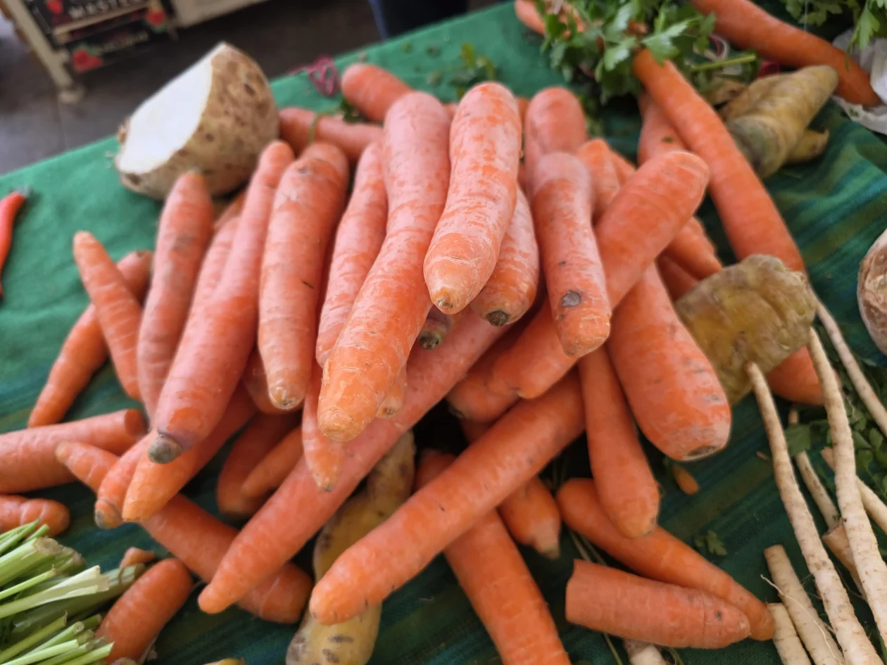 Čakovečki plac 11-4-2026 (97) Čakovečki plac 11-4-2026 (97)