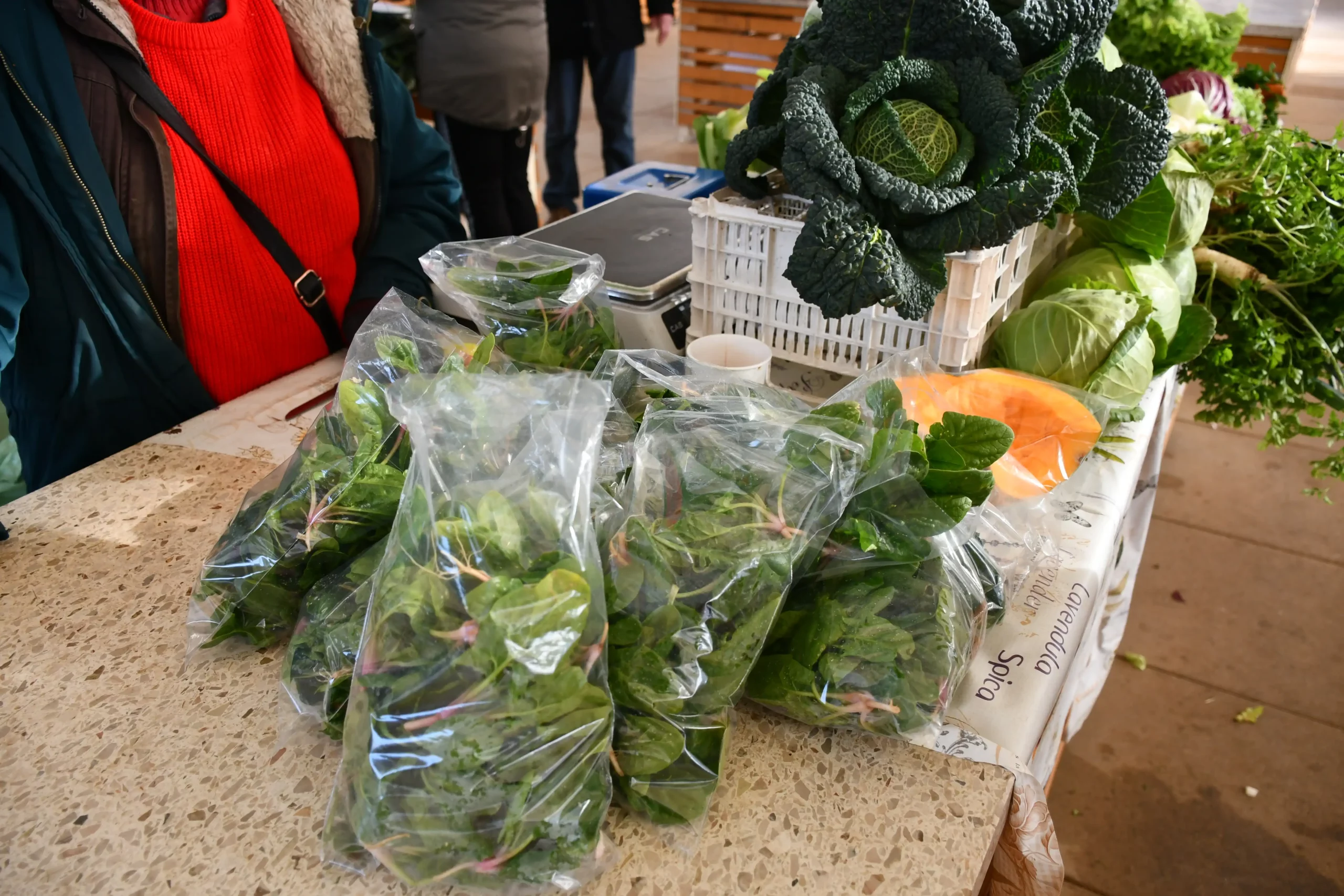 Čakovečki plac (14) Čakovečki plac (14)