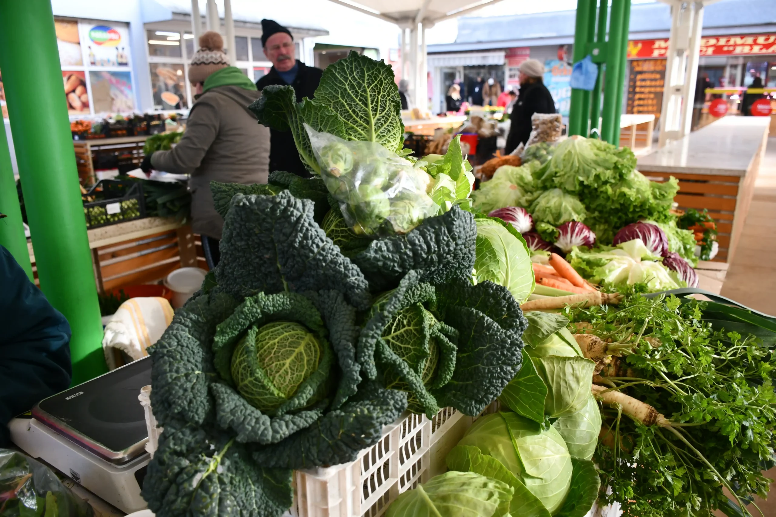 Čakovečki plac (15) Čakovečki plac (15)