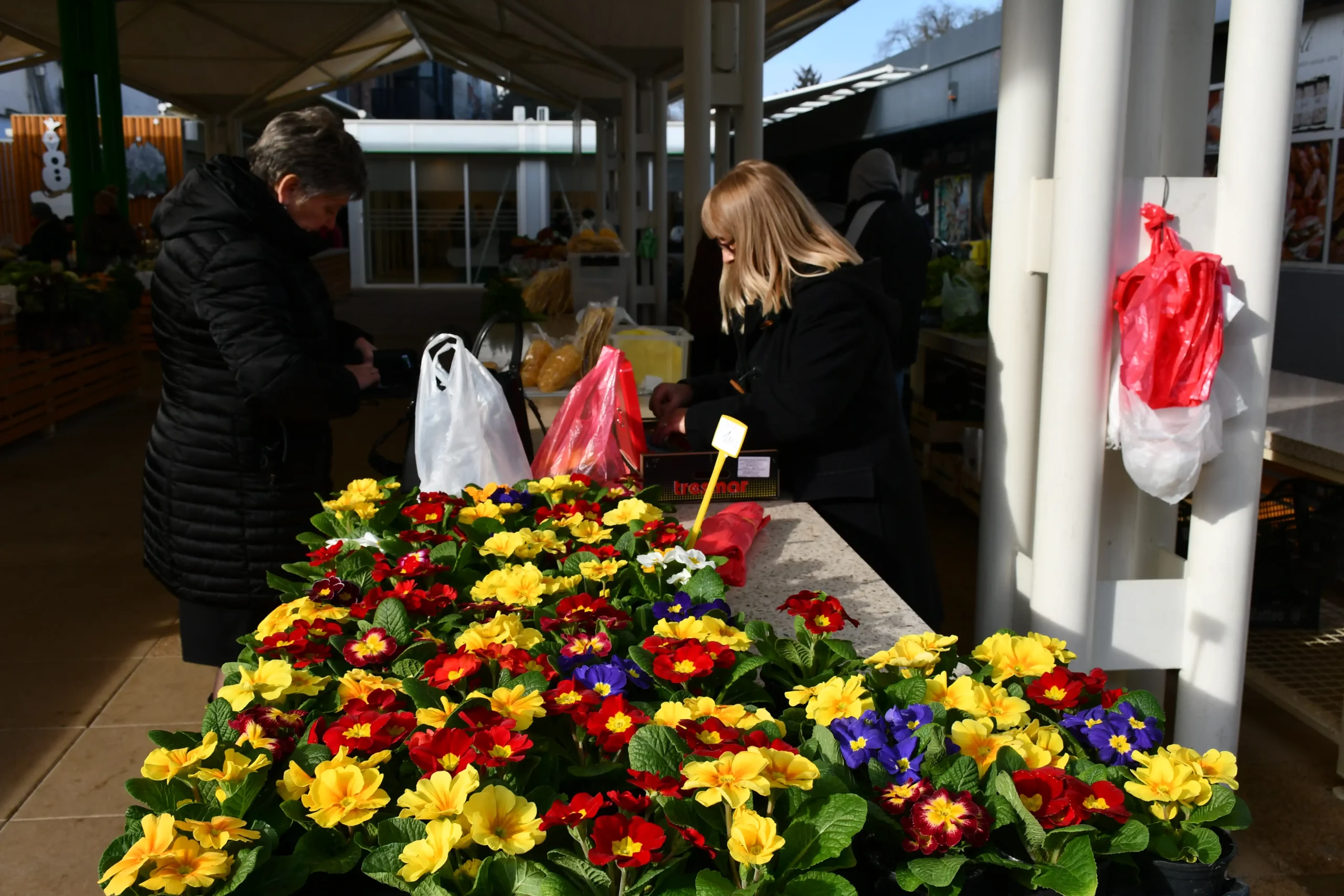 Čakovečki plac (2) Čakovečki plac (2)