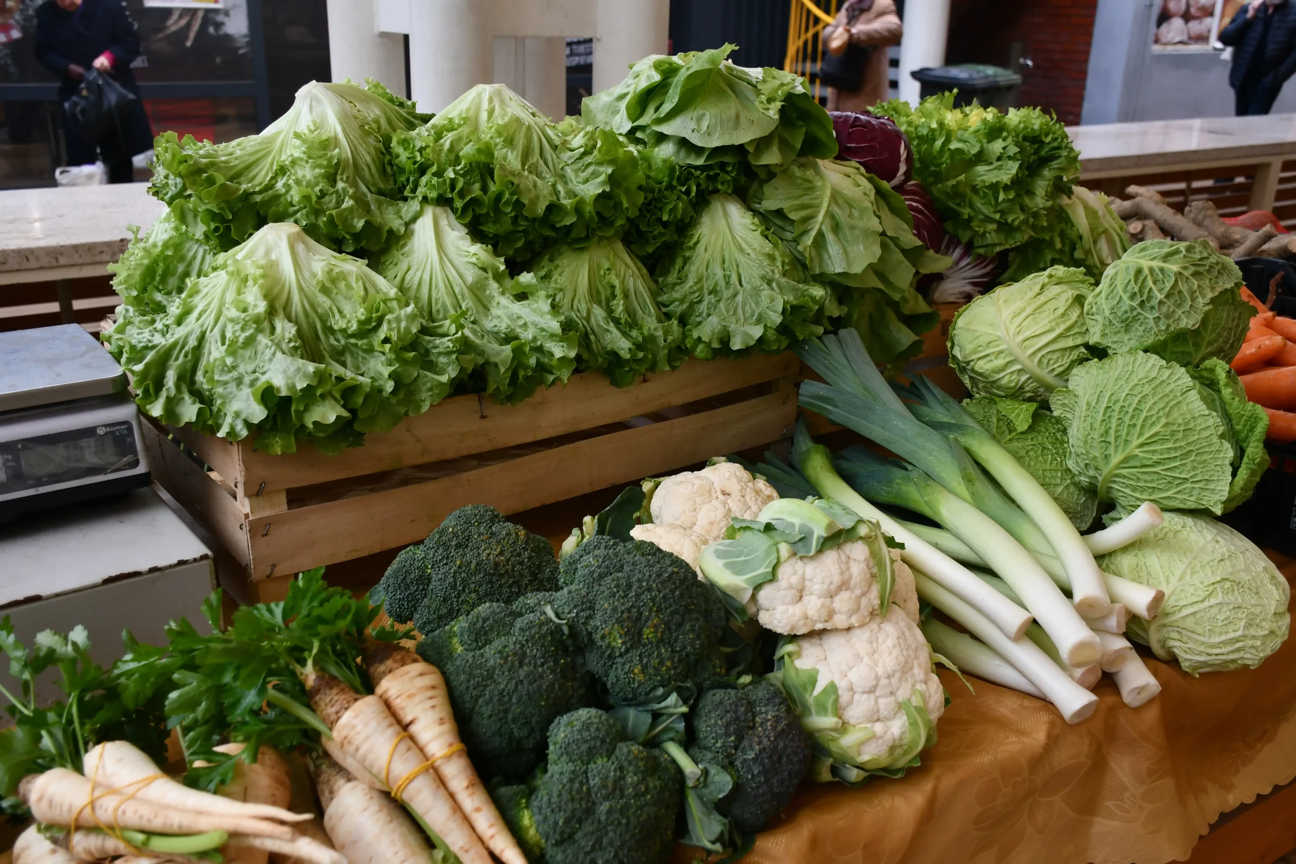 Čakovečki plac (4) Čakovečki plac (4)