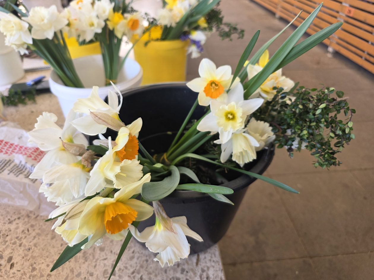 Čakovečki plac 4-4-2026 (16)