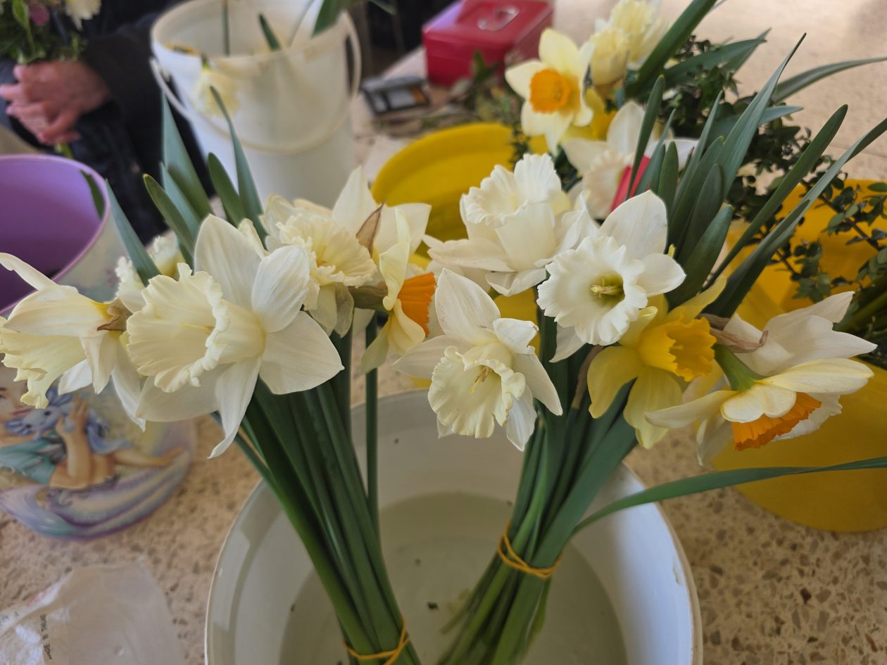 Čakovečki plac 4-4-2026 (17)