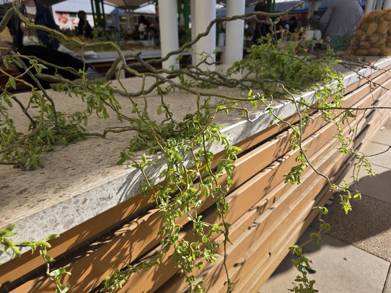 Čakovečki plac 4-4-2026 (2)