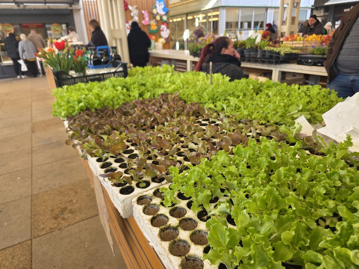 Čakovečki plac 4-4-2026 (22)