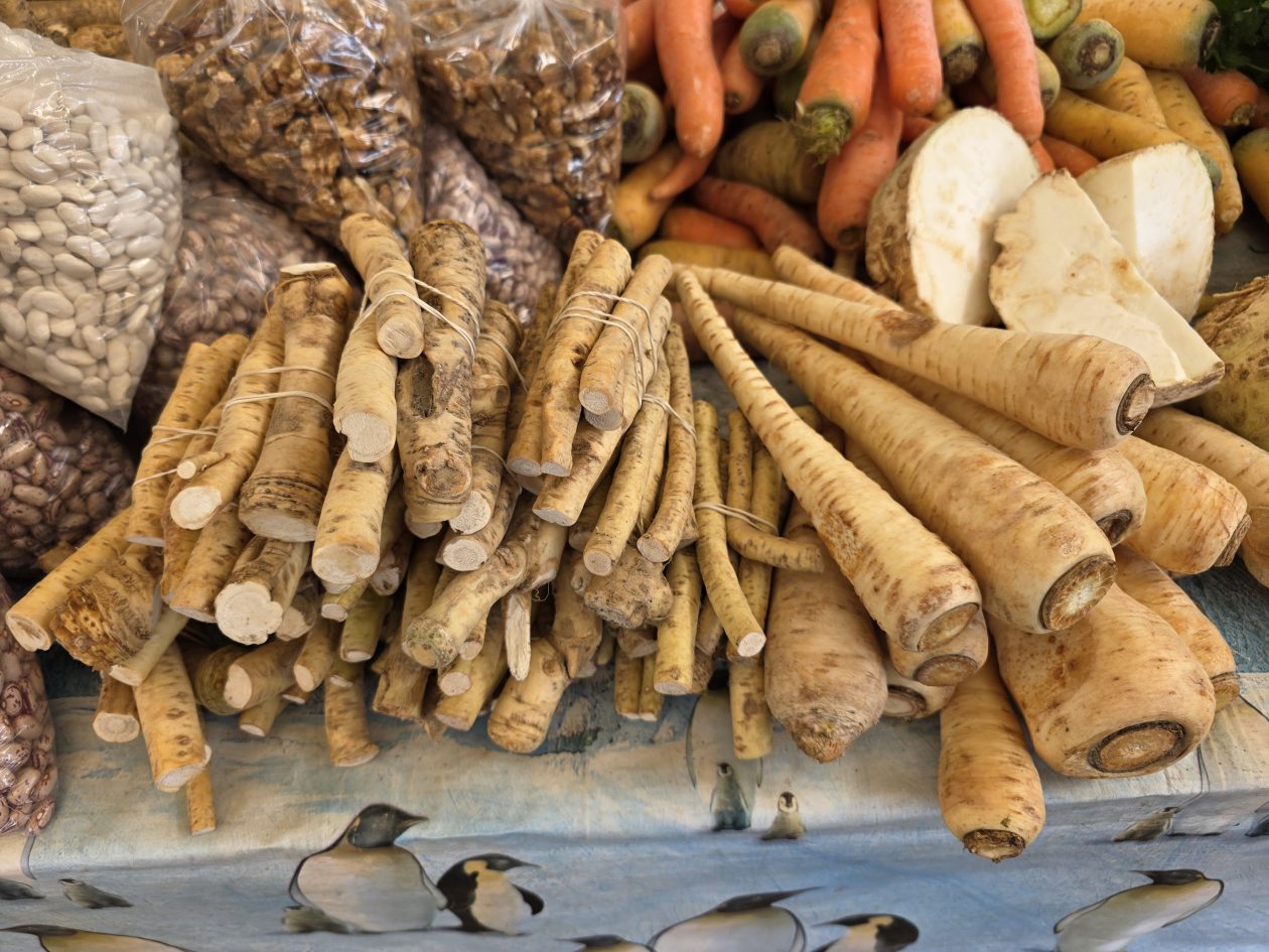 Čakovečki plac 4-4-2026 (24)