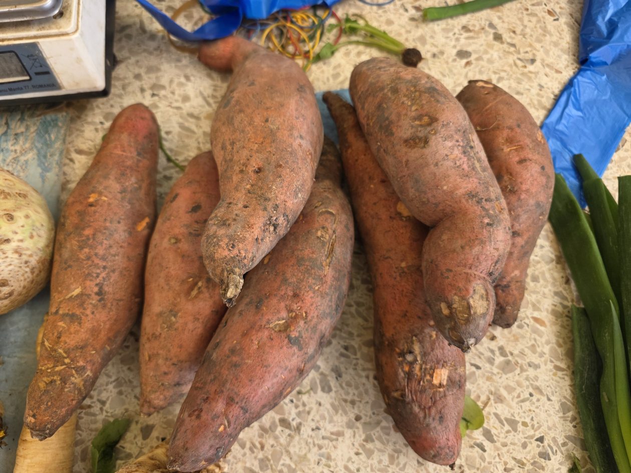 Čakovečki plac 4-4-2026 (26)