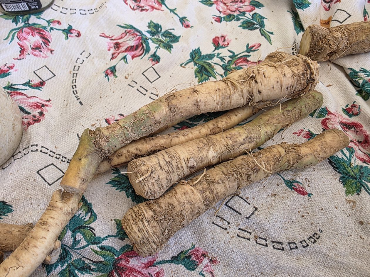 Čakovečki plac 4-4-2026 (29)