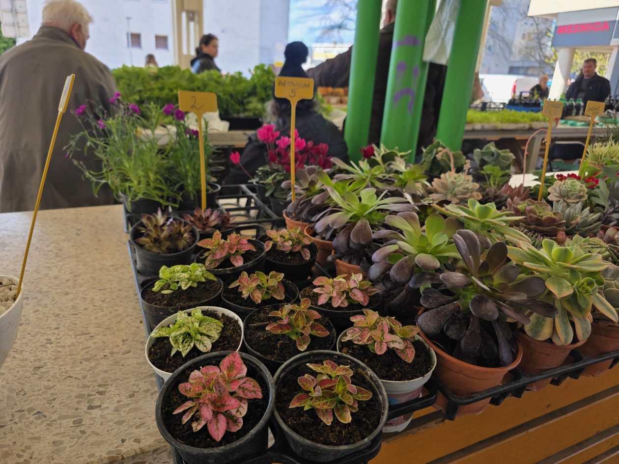 Čakovečki plac 4-4-2026 (34)